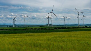 Der Deutsche Wetterdienst sieht gute Chancen für RLP, seinen Energiebedarf mit Windkraft und Photovoltaik zu decken.