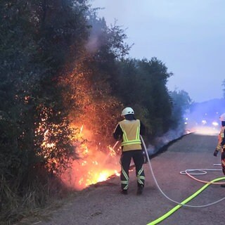 Waldbrände im Kreis Birkenfeld: Feuerwehr am Limit