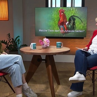 Gast Alena Lagmöller und Moderatorin Heike Greis unterhalten sich über Tierhaltungen