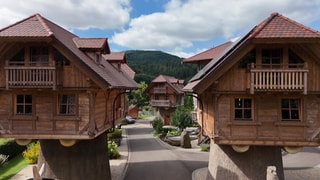 Drei Häuser wurden auf dicke Baumstämme gebaut und formen jetzt das Baumhaus-Dorf.
