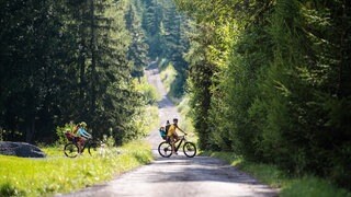 Zwei Radfahrer unterwegs im Wald - Radtour und Fahrrad