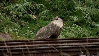 Man sieht einen Felsbrocken, der die Bahngleise in Triberg blockiert.