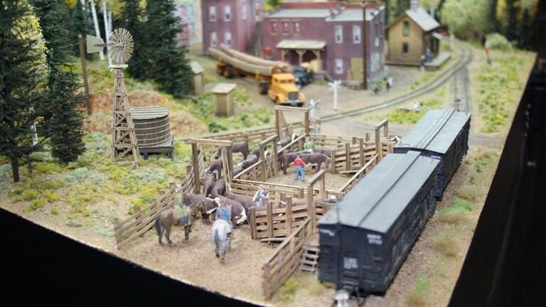 Rinderverladung auf der amerikanischen Modellbahn Convention 2011 in Sacramento