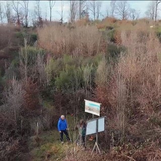 Die Natur im Westerwald