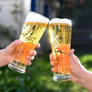 Zwei Personen stoßen mit Biergläsern an (Archivbild)
