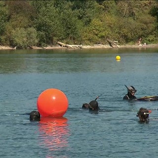 Personen tauchen in einem See.