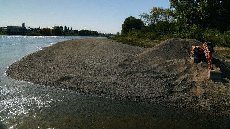 Rheinfähre Altrip bei Niedrigwasser
