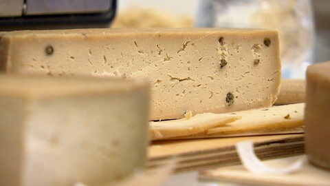 Veganer Käse aus Blumenkohl und Cashewnüssen: der Freiburger Käse muss mehrere Tage reifen
