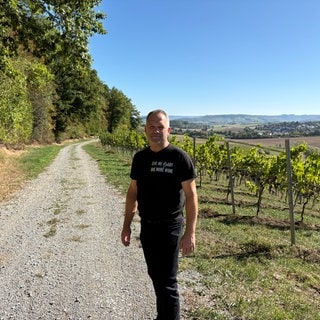 Winzer Markus Busch aus Bretzfeld im geschädigten Weinberg in Bretzfeld.