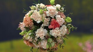 Blumenwolke