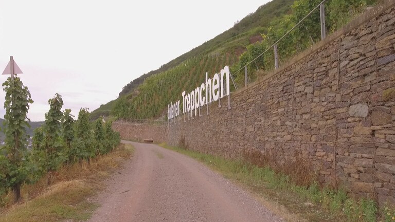 Erden-Weinlage