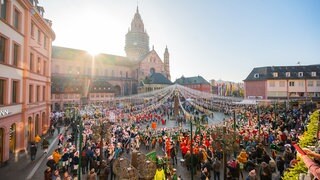 Wahlkreis-Check zur Landtagswahl 2021 in Rheinland-Pfalz: Mainz I