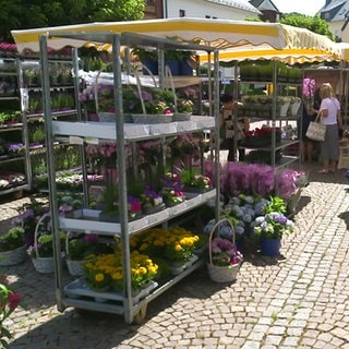 Der Nachmittagsmarkt in Selters