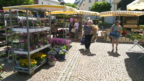 Der Nachmittagsmarkt in Selters