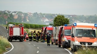 Einsatzkräfte von Polizei und Feuerwehr stehen neben dem abgebrannten Feld bei Ingelheim.