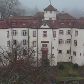 Das Schloss Neuweier aus der Vogelperspektive.Ein größes, weißes Schloss mit rötlichem Dach. 