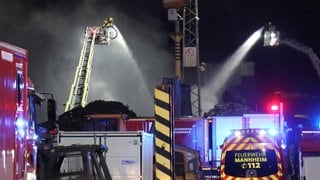Die Feuerwehr löscht einen Brand im Mannheimer Industriehafen.