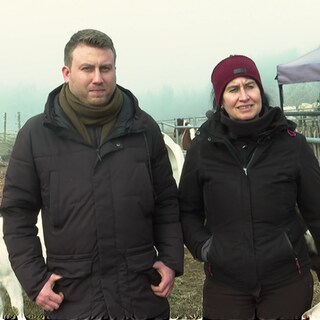 Menschen auf einem Hof mit Therapietieren