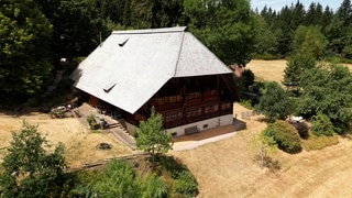 Historische Schwarzwaldhöfe: Von ihnen kann man fürs heutige Bauen viel lernen - vor allem in Sachen Klimaschutz.