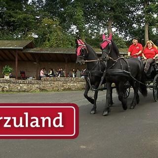 Reitzenhain