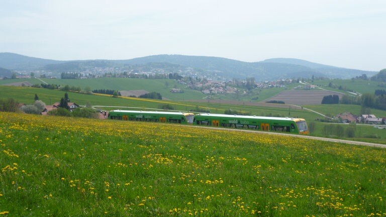 Frühlingserwachen in Bayersich-Kanada
