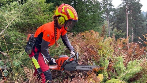Frauenpower im Wald: Seit Juli verstärkt die 21-jährige Helena Heser das Team des Forstamts Trier als Forstwirtin.