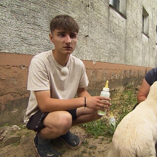 Junger Mann sitzt neben zwei Lämmern auf einem Hof