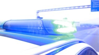 Polizeiauto mit Blaulicht: Ein Autokorso-hat auf der A60 bei Mainz den Verkehr behindert