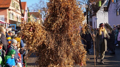 Ein in "Stroh" eingewickelter Narr läuft beim Tiermasken-Umzug in Hirschau als Strohbär - eine beliebte Figur der schwäbisch-alemannischen Fastnacht.