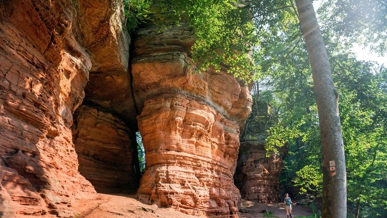 Der Altschlossfelsen bei Eppenbrunn, Sandsteinfelsen im Pfälzer Wald 