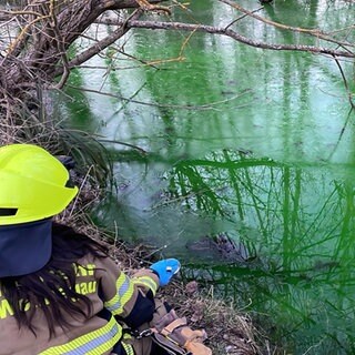 Der Mühlbach in Wörrstadt ist grün verfärbt. Ein unbekannter Stoff ist in das Wasser gelangt und hat die Verschmutzung verursacht