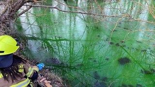 Der Mühlbach in Wörrstadt ist grün verfärbt. Ein unbekannter Stoff ist in das Wasser gelangt und hat die Verschmutzung verursacht