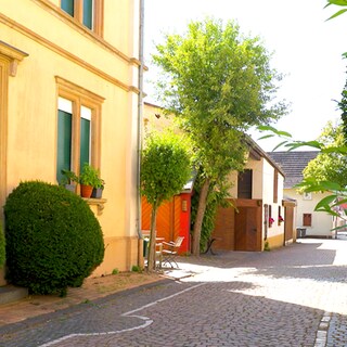Die Genheimer Straße in Waldlaubersheim