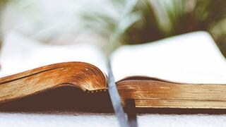 aufgeschlagenes Buch