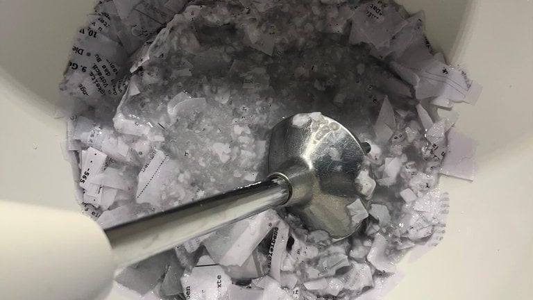 Papiermasse mit einem Mixer fein pürieren.