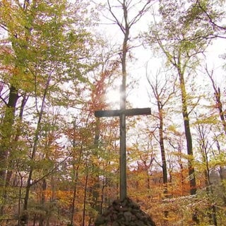 Ruheforst Südpfälzer Bergland