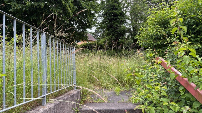 Warum das Freibad in Bollendorf keine Zukunft hat: Die Natur holt sich das Gelände zurück: Dieser Weg führte früher zu einem Spielplatz.