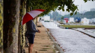 Ein Mann steht mit einem Regenschirm in der Hand unter den Platanen am Rhein in Mainz.