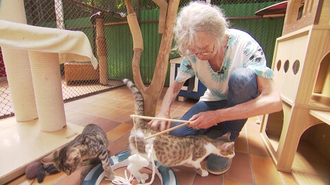 Susanne spielt mit Katzen im Tierheim Esslingen