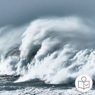 Eine riesige Welle im Meer. Das ist ein Tsunami. Rechts das SWR Logo für Leichte Sprache.