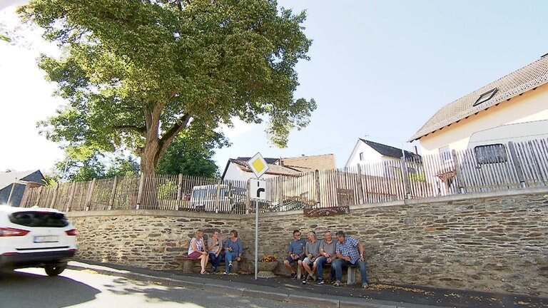 hzl-reckenroth-linde