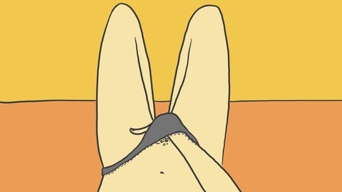 Solo-Sex und Masturbation: Die Hand einer Frau greift zwischen die Beine (Grafik) – Frauen sind im Porno- und Sexartikelgeschäft verstärkt als Kundinnen in den Blick geraten. Ihnen sollen Sex-Toys und feministische Pornos selbstbestimmten Sex ermöglichen. Dazu haben Künstlerinnen die Vulva als Kunstobjekt entdeckt. 