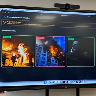 Bilder, die anhand der neuen KI-Anwendung Deepfake Detector der rheinland-pfälzischen Polizei auf ihre Echtheit überprüft wurden.