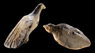 Fund des Jahres aus der Welterbehöhle Hohle Fels: Die beiden Vogelfiguren sind ungefähr so groß wie ein Daumennagel.