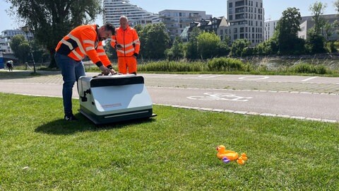 "Fiffi" in Action: Die Gummienten auf der Donauwiese in Ulm hat der Müllroboter erkannt - und umkurvt.