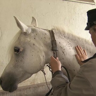 Eine Frau streichelt ein Pferd