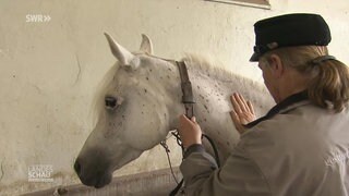 Eine Frau streichelt ein Pferd