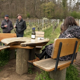 Ärger um Sitzgruppe im "Paradiesgarten"