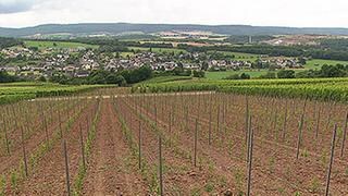 Ortsansicht von Rivenich