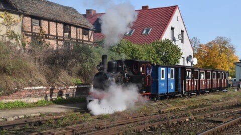 Dampfveteran Lowa BN2T auf der Schmalspurstrecke von Bialosliwie
